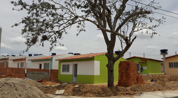 Leitor denuncia árvore com risco de queda no Loteamento Xique Xique em Caruaru