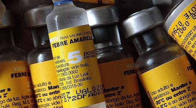 Pernambucanos fraldam documentos para receber vacina da febre amarela