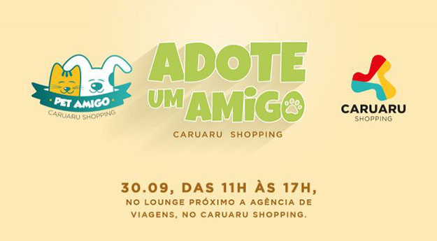 Evento de adoção de animais acontece em Caruaru