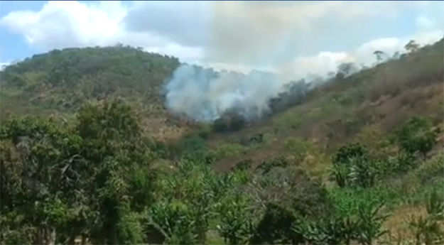 Incêndio atinge sete hectares próximos de reserva florestal em Caruaru