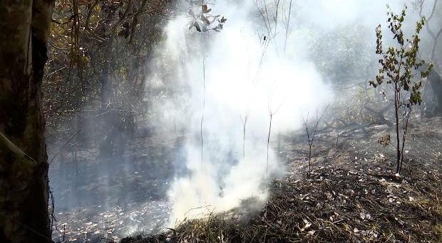 Parque ambiental de Serra dos Cavalos registra terceiro incêndio do ano