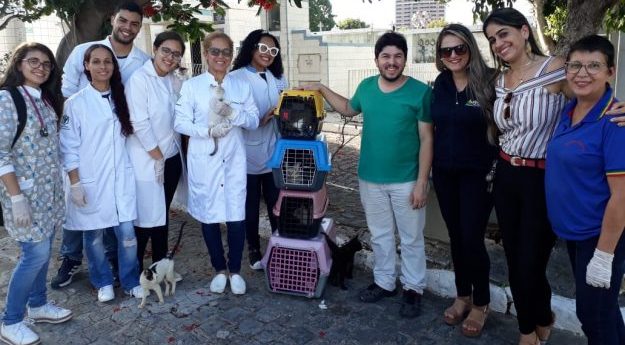Animais do cemitério Dom Bosco são atendidos por projeto de veterinário itinerante