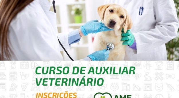 AME Animal abre inscrições gratuitas para curso de auxiliar de veterinário