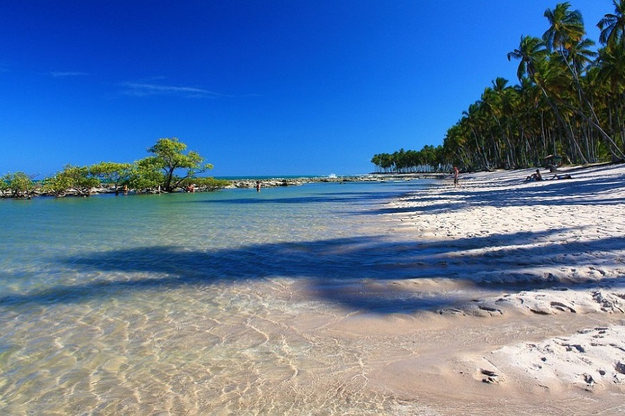 Estudo aponta 11 trechos de praias impróprios para banho no litoral pernambucano